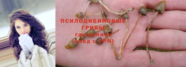 кокс Абдулино