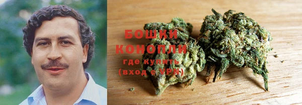 стаф Сатка