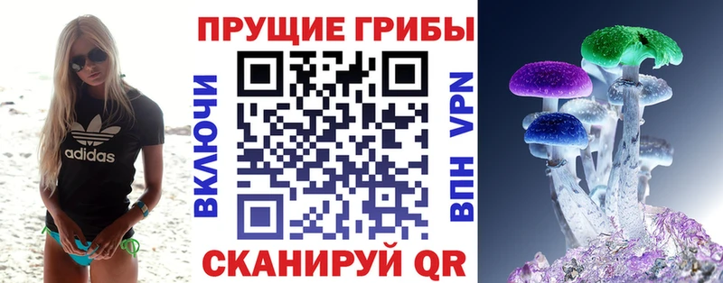 блэк спрут зеркало  Кинешма  Галлюциногенные грибы GOLDEN TEACHER 