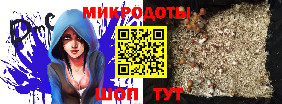 Галлюциногенные грибы Psilocybe Кинешма